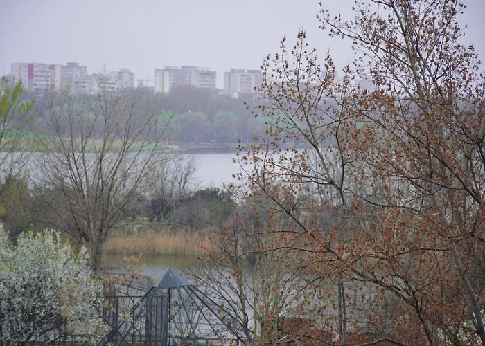 Golden Rose Constanţa