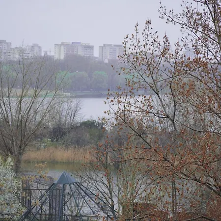 Golden Rose Констанца